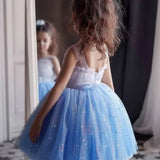 Robe de princesse pour fillete couleur bleu